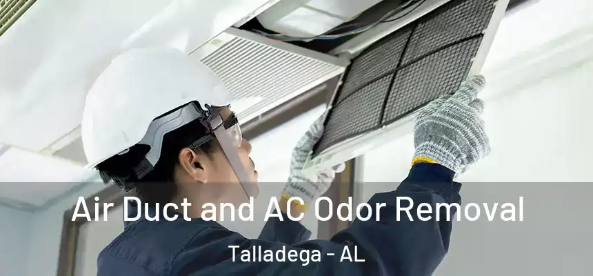  Air Duct and AC Odor Removal Talladega - AL