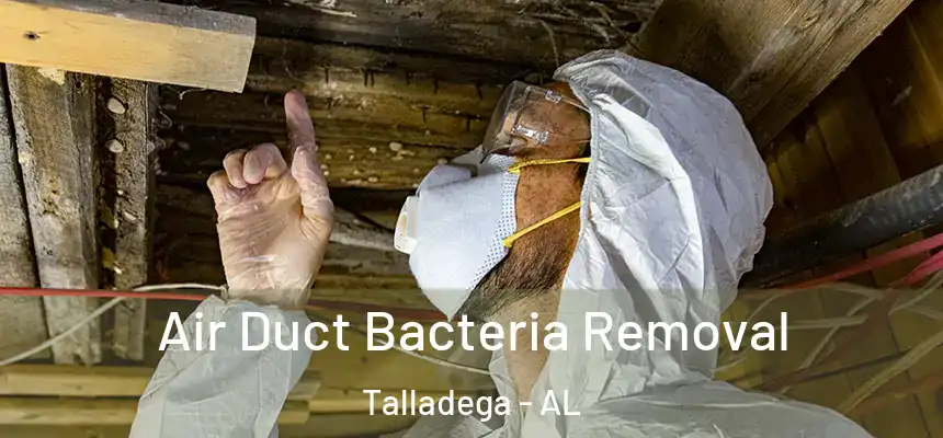  Air Duct Bacteria Removal Talladega - AL