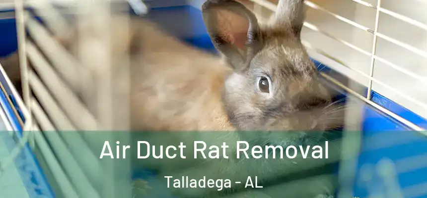  Air Duct Rat Removal Talladega - AL