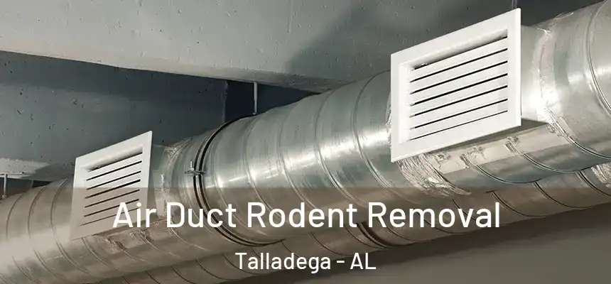  Air Duct Rodent Removal Talladega - AL