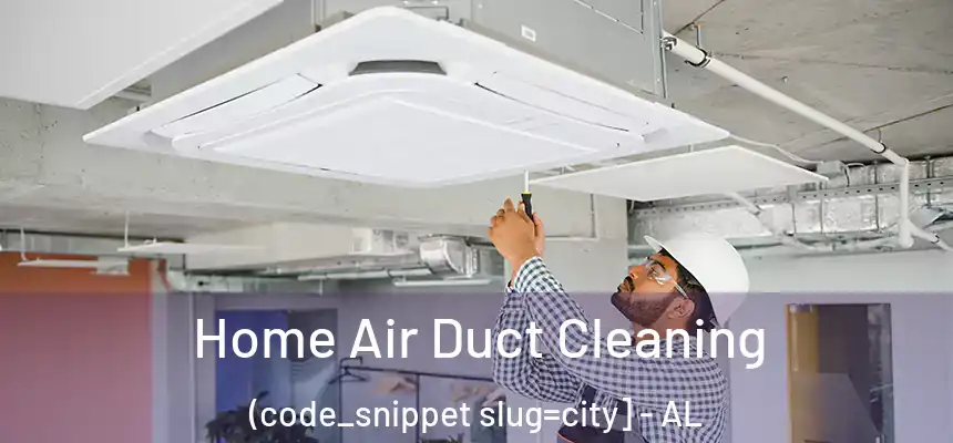  Home Air Duct Cleaning (code_snippet slug=city] - AL