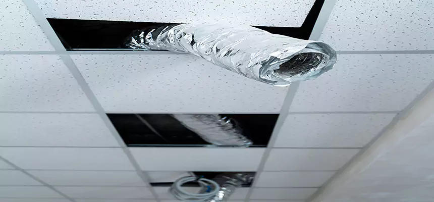 Affordable HVAC Sanitizing After Pest Removal in Talladega