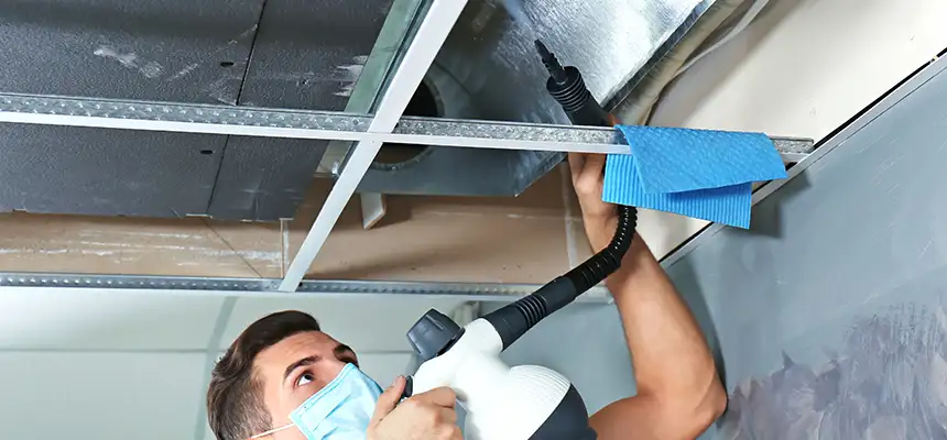 Our Air Duct Rodent Removal Services in Talladega, AL