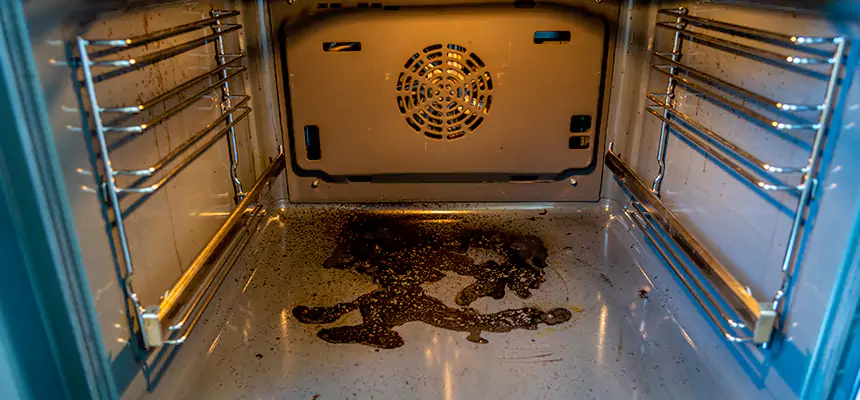 Our Dryer Vent Mold Cleaning Services in Talladega, AL