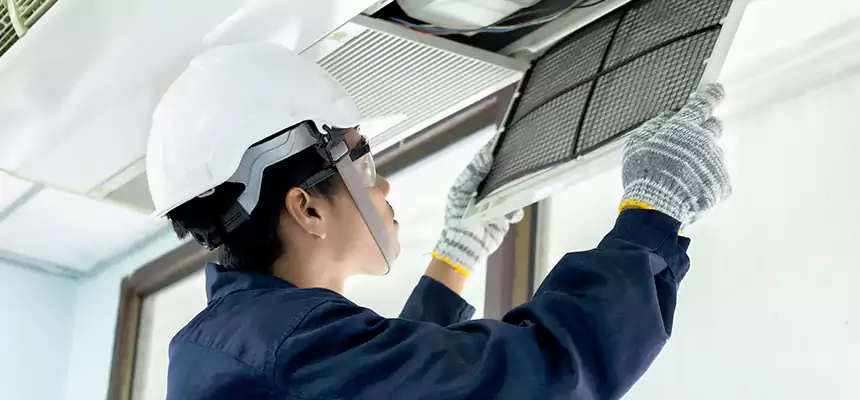 Our Mold & Mildew Removal from Air Ducts Services in Talladega, AL