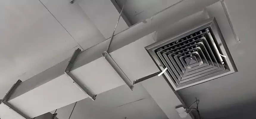 Our Rodent Droppings In Vents Services in Talladega, AL