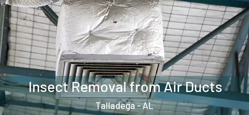  Insect Removal from Air Ducts Talladega - AL