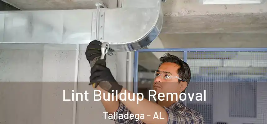  Lint Buildup Removal Talladega - AL