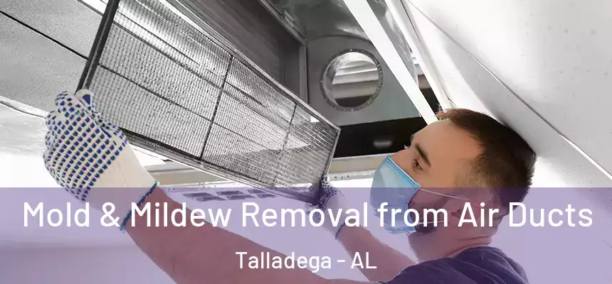  Mold & Mildew Removal from Air Ducts Talladega - AL