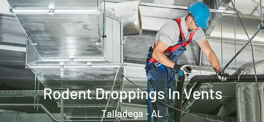  Rodent Droppings In Vents Talladega - AL