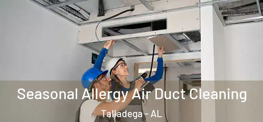  Seasonal Allergy Air Duct Cleaning Talladega - AL