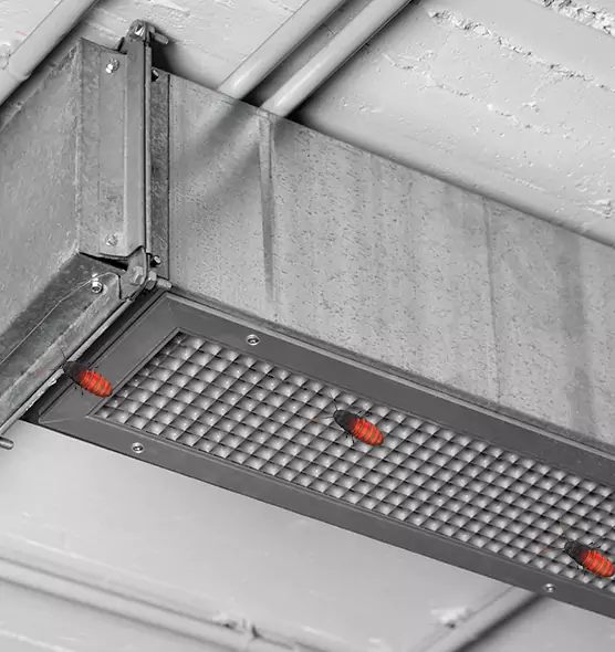 About Air Duct Cockroach Removal in Talladega, AL