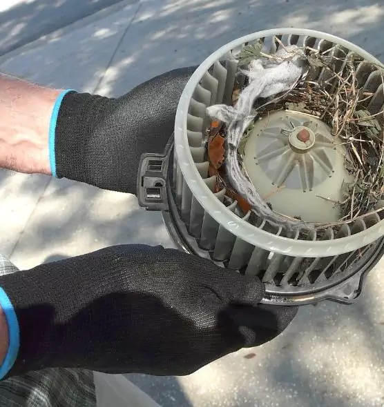 About Air Duct Mice Removal in Talladega, AL