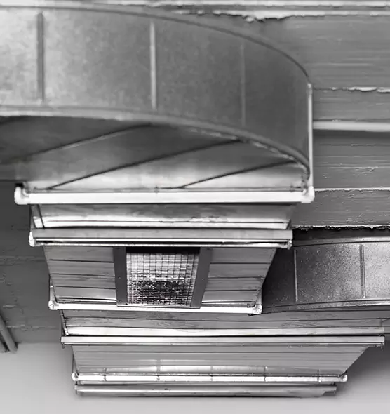 Professional Air Duct Pet Hair Removal in Talladega, AL