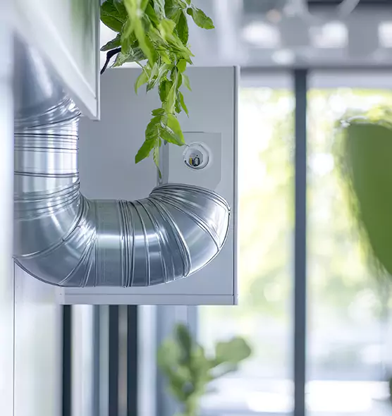 Professional Eco-Safe Dryer Vent Cleaning in Talladega, AL