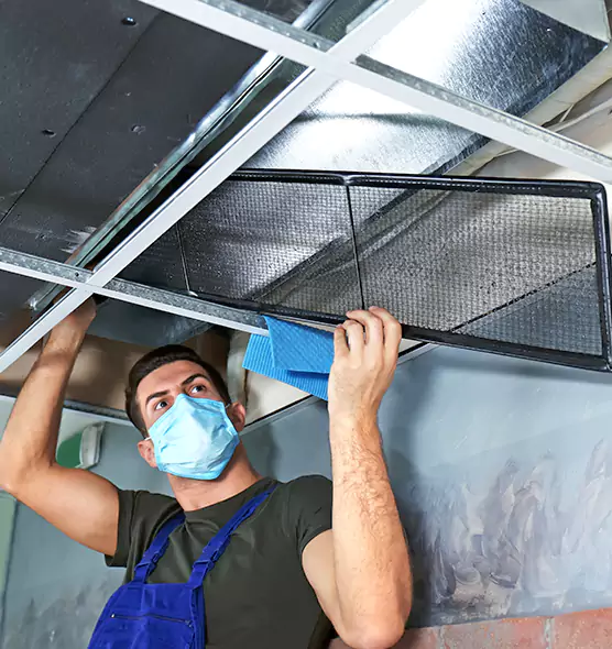 Professional Home Ventilation Cleaning in Talladega, AL