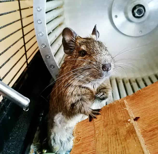 Why Homeowners & Businesses Trust Us Talladega, AL