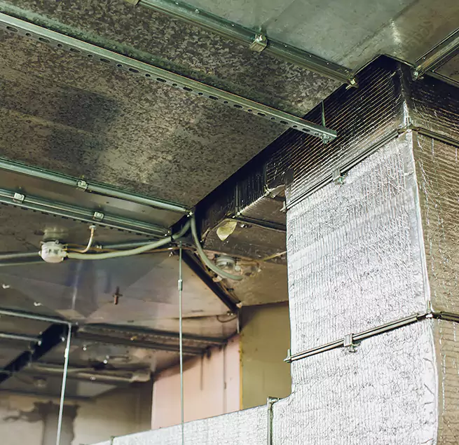 Why Homeowners & Businesses Trust Us in Talladega, AL?